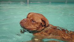 Ep. 5 - L'arrivo della bella stagione