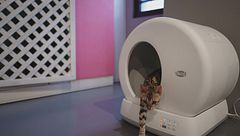 La lettiera autopulente per i gatti