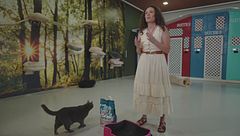 Creare una relazione di fiducia con il gatto