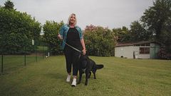 I cani e le passeggiate