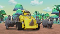 Jungle pups: i cuccioli trovano una giungla nascosta