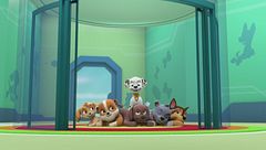 I cuccioli salvano la mini-patrol parlante / I cuccioli salvano la storia di adventure bay