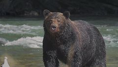 Ep. 1 - Columbia britannica