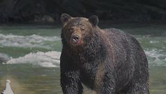 Ep. 1 - Columbia britannica