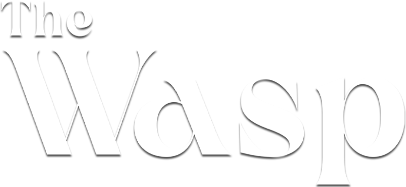 The Wasp - Film Mediaset Infinity