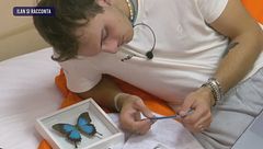 Martedì 8 ottobre - Il quotidiano di Amici