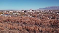 Ep. 4 - Il progetto Seven Lambs