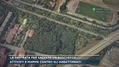 La protesta per salvare un boschetto