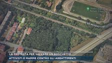La protesta per salvare un boschetto