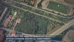 La protesta per salvare un boschetto