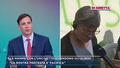 Gallarate, una scuola al posto del boschetto