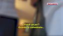 Pierina, parla il vicino interrogato