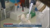 Omicidio Pierina Paganelli, reperti chiave e attesa test dna
