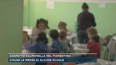 Sospetto salmonella nel fiorentino