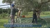 Il ministro Lollobrigida lancia la "leva agricola"