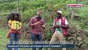 Dal Burkina Faso all'impresa nella vigne di Carrara