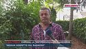 Viadana, la testimonianza del giardiniere