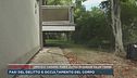 Omicidio Viadana, Maria uccisa in un garage da un 17enne