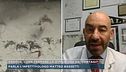 Dengue, come fermare la diffusione dei contagi ?