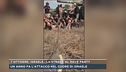 7 ottobre, Israele, la strage al rave party