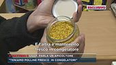 Lilly, parla un apicoltore
