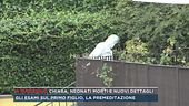 Caso Chiara Petrolini, neonati morti e nuovi dettagli