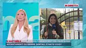 Traversetolo, dalla villetta in cui viveva Chiara Petrolini