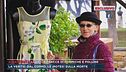 Giallo Lilly Resinovich, le tracce di formiche e polline