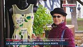 Giallo Lilly Resinovich, le tracce di formiche e polline
