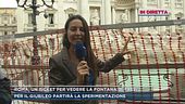 Roma, un ticket per vedere la fontana di Trevi