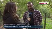 Cervi in Abruzzo, sospesa la caccia
