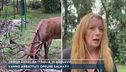 Cervi in Abruzzo, le parole di Michela Vittoria Brambilla