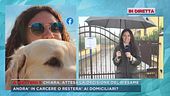 Chiara Petrolini, attesa la decisione del riesame