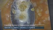 Larve nel piatto alla mensa scolastica