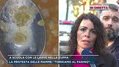 A scuola con le larve nella zuppa