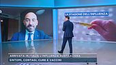 Arrivata in Italia l'influenza australiana