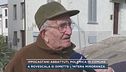 Ippocastani abbattuti, polemica in comune