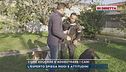 Come educare e addestrare i cani