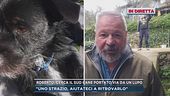 La storia di Roberto, ha smarrito il suo cane "nero"