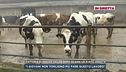 Fattoria di Arezzo chiude dopo 50 anni un punto vendita
