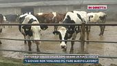 Fattoria di Arezzo chiude dopo 50 anni un punto vendita