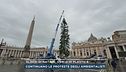 Alberi di Natale, veri o di plastica
