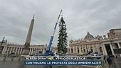 Alberi di Natale, veri o di plastica