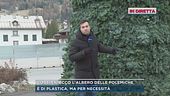 In diretta da Cortina, ecco l'albero delle polemiche