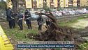 Roma, la morte della 45enne schiacciata da un albero