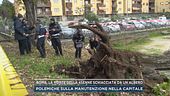 Roma, la morte della 45enne schiacciata da un albero