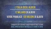 Ambientalisti contro l'abbattimento degli alberi