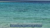 Mar Rosso, squalo attacca due turisti italiani
