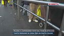 Milano, il Capodanno visto dal "Pane quotidiano"