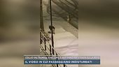 Collio Valtrompia, cani lupo si aggirano per strada sulla neve